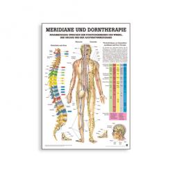 Lehrtafel Meridiane und Dorn Therapie 