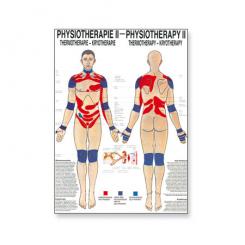 Poster Physiotherapie II 