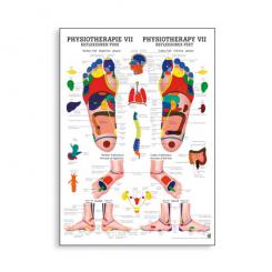 Poster Physiotherapie VII 