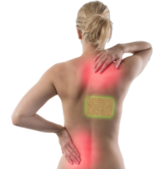 FGXpress PowerStrips™ Testangebot 3 Stück