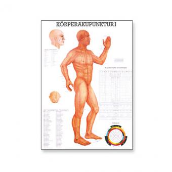 Lehrtafel Körperakupunktur I 