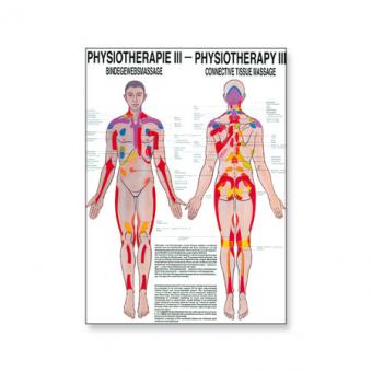 Poster Physiotherapie III 