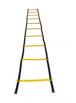 Koordinationsleiter (Speed Ladder) 