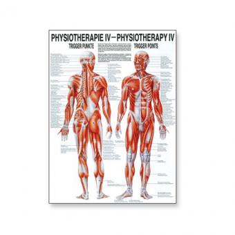 Poster Physiotherapie IV 