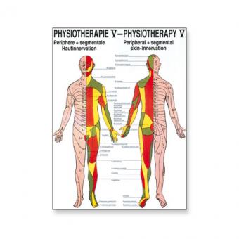 Poster Physiotherapie V 