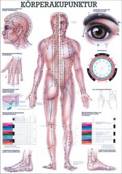 Lehrtafel Körperakupunktur 