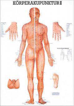 Lehrtafel Körperakupunktur II 